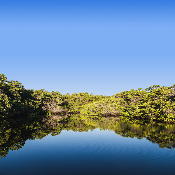 Isole Galapagos