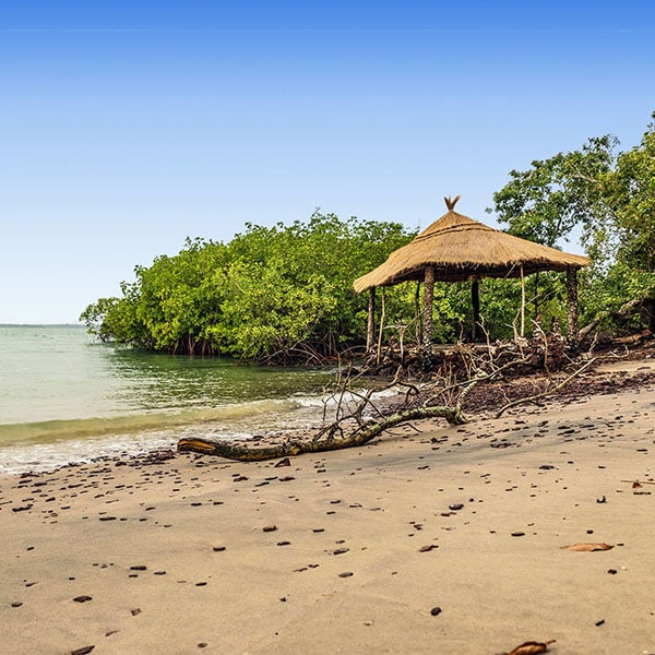 La Bissau