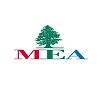 Middle East Airlines